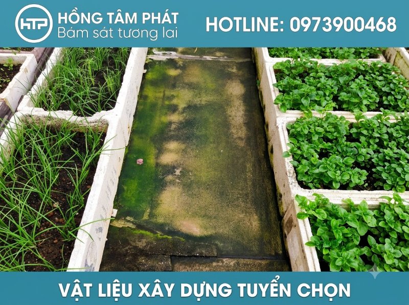Làm sạch triệt để các vết bẩn và tẩy rêu bề mặt bê tông sân thượng cực kỳ đơn giản.