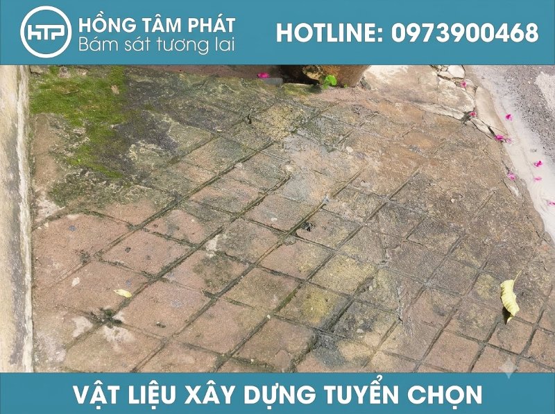 Giải đáp chi tiết hóa chất tẩy rong rêu là gì và lý do sản phẩm được ưa chuộng.
