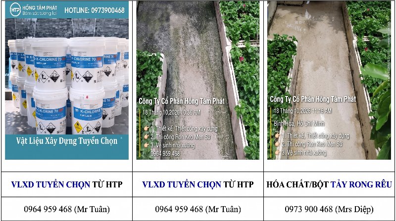 Quy trình chuẩn 7 bước tẩy rong rêu từ chuyên gia xây dựng hàng đầu hiện nay.
