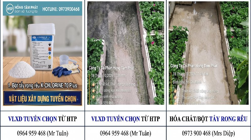 Đánh bay rêu xanh lâu năm nhờ bột tẩy rong rêu và dung dịch tẩy rêu chất lượng cao.