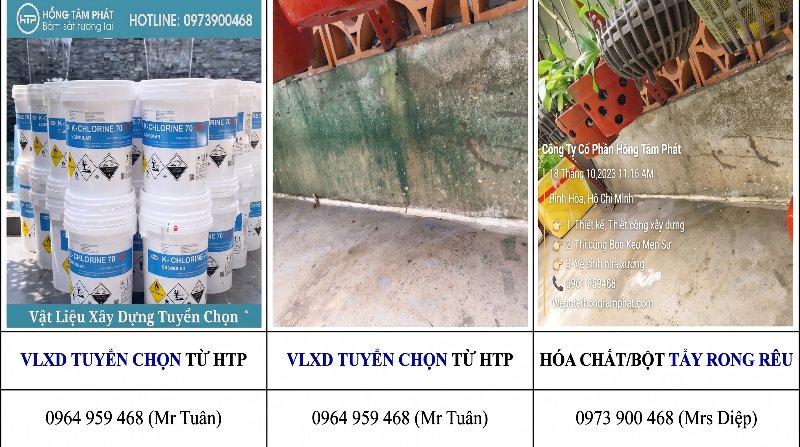 Đọc ngay để không lặp lại sai lầm thường gặp khi tự tẩy rong rêu tốn kém thời gian.