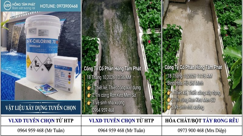 Giải pháp hoàn hảo từ dịch vụ tẩy rêu và sơn lại mái ngói chống phai màu hiệu quả.