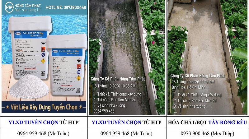 Giải pháp toàn diện với bột tẩy rong rêu và dung dịch tẩy rêu cho mọi công trình lớn.