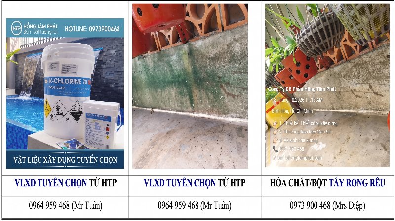 Kinh nghiệm xương máu về Sai Lầm Khi Tự Tẩy Rong Rêu Tại Nhà bạn nên biết ngay.