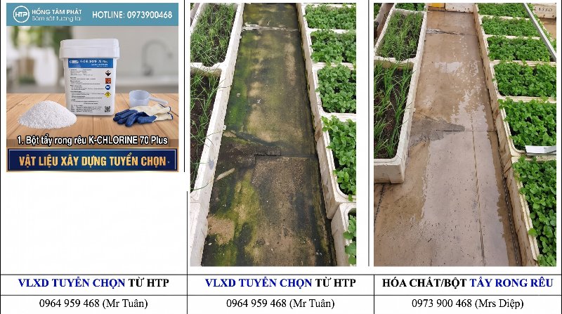 Giải pháp cung cấp hóa chất tẩy rêu tối ưu giúp tiết kiệm chi phí cho nhà thầu xây.