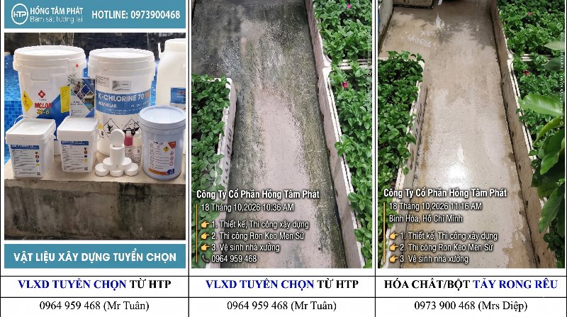 Chia sẻ kinh nghiệm an toàn khi sử dụng hóa chất tẩy rong rêu cho thợ vệ sinh chuyên.