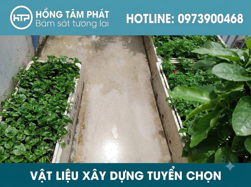 Áp dụng cách làm sạch rong rêu chuẩn xác giúp ngăn chặn nấm mốc quay trở lại tối đa.