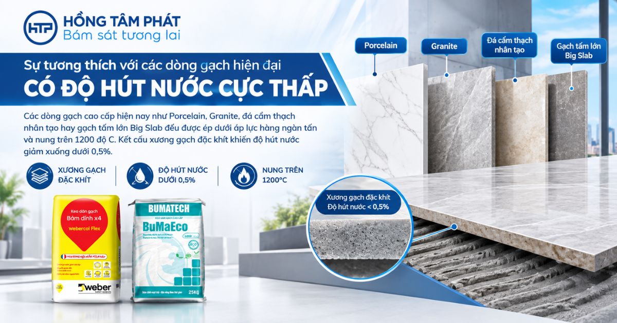 So sánh cơ chế bám dính của keo dán gạch và vữa xi măng hồ dầu